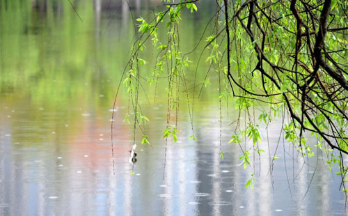 雨中的守护者 —— 中石铝业铝单板与铝方通